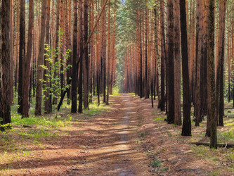 Similar image 22142702