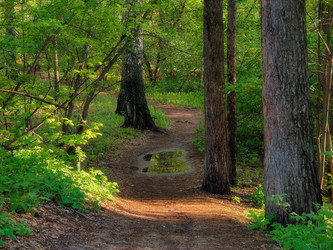 Similar image 22142704