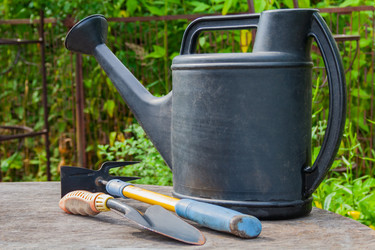 Similar image 22155151