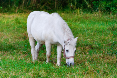 Similar image 22155341