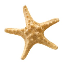 Similar image 22155351