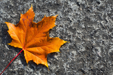 Similar image 22155533