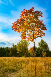 Similar image 22155535