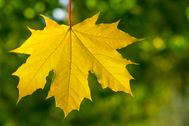 Similar image 22155537