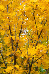 Similar image 22155539