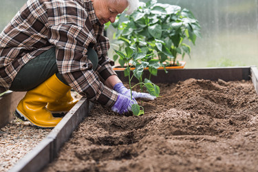 Similar image 22151387