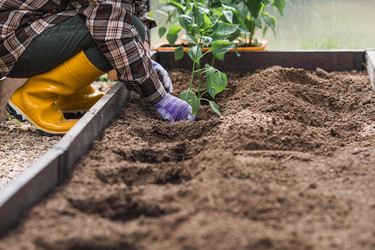 Similar image 22151388