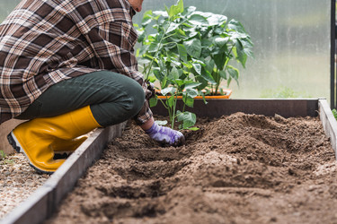 Similar image 22151086