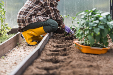 Similar image 22151087