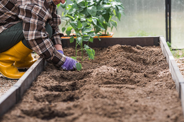 Similar image 22151088