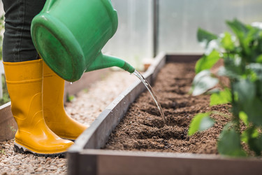 Similar image 22151090