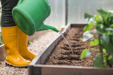 Similar image 22151094