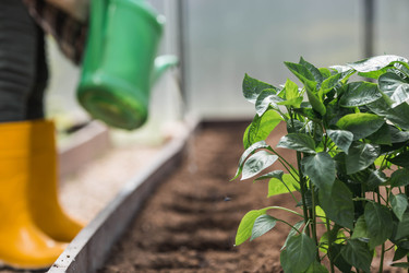 Similar image 22151095