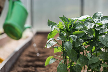 Similar image 22151097