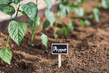 Similar image 22151098