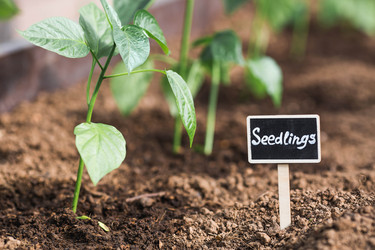 Similar image 22151099