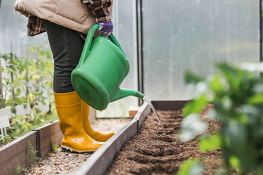 Similar image 22151100