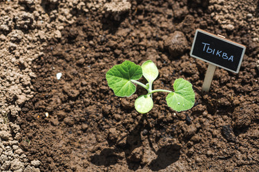 Similar image 22151101