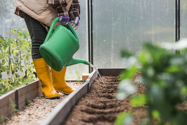 Similar image 22151102