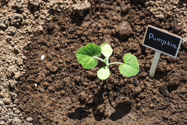 Similar image 22151103