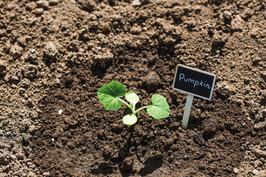 Similar image 22151105