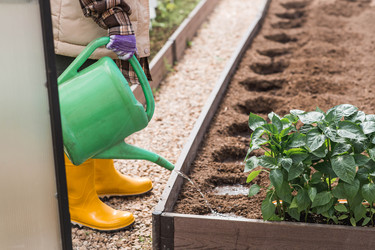 Similar image 22151106