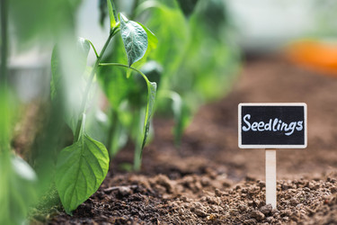 Similar image 22151107