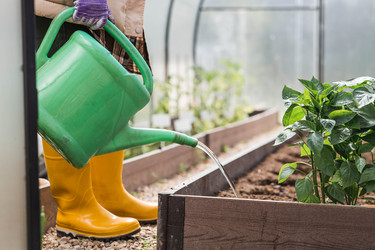 Similar image 22151109