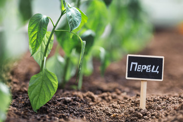 Similar image 22151110