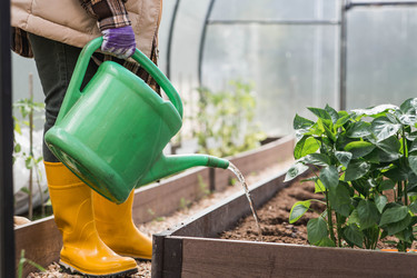 Similar image 22151112