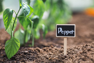 Similar image 22151113