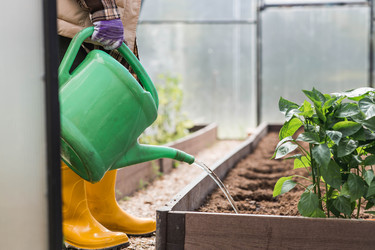 Similar image 22151114