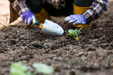 Similar image 22151115