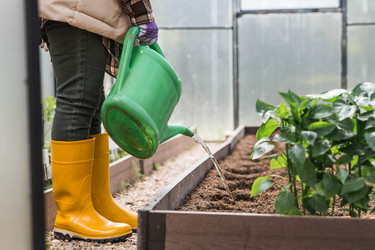 Similar image 22151116