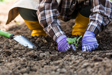 Similar image 22151117