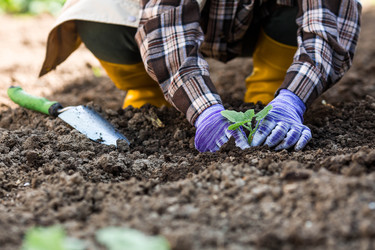 Similar image 22151118