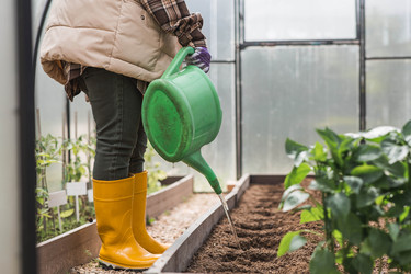 Similar image 22151121