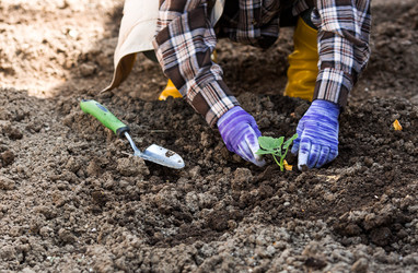 Similar image 22151122