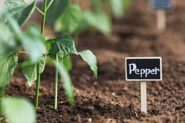 Similar image 22151127