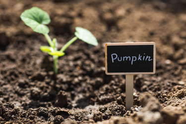 Similar image 22151128