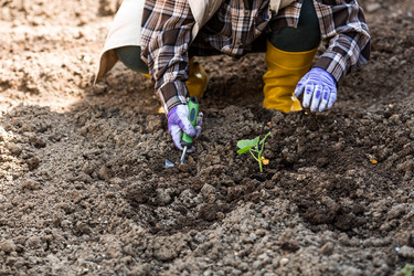 Similar image 22151130