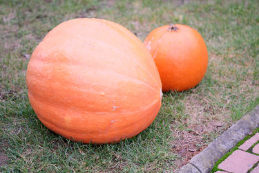 Similar image 22144321