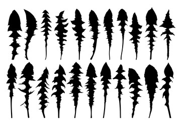 Similar image 22144357