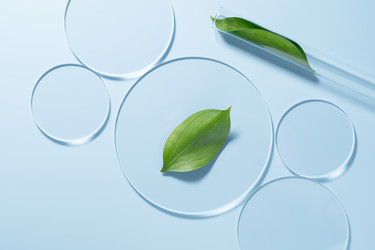 Similar image 22147937