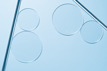 Similar image 22147940