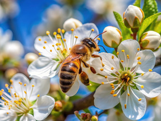 Similar image 22154308