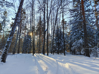 Similar image 22144365