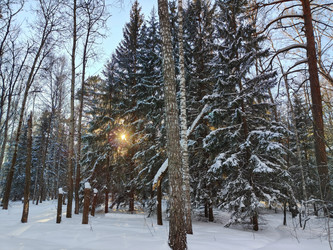 Similar image 22144366