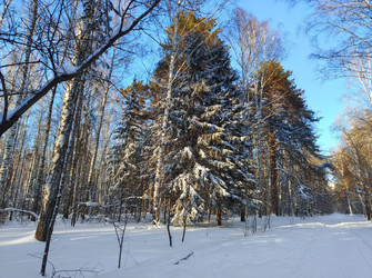 Similar image 22144367