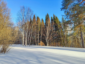 Similar image 22144369